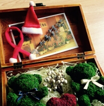苔藓小熊 永生花 日本复古木盒创意花礼 情人节礼物