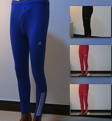 Adidas 弹力塑身紧身长裤 男女款 田径 运动 训练 健身房必备 多配色
