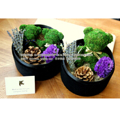 苔藓小熊 永生花 日本复古木盒创意花礼 情人节礼物 春节礼物